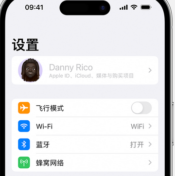 阳东appleID维修服务iPhone设置中Apple ID显示为灰色无法使用 