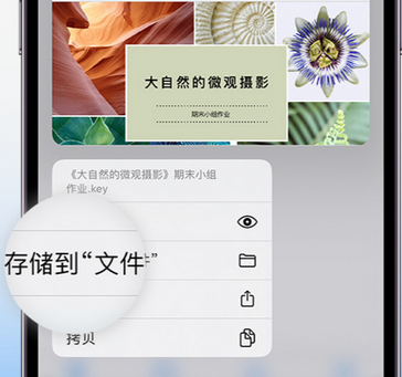 阳东apple维修中心分享iPhone文件应用中存储和找到下载文件