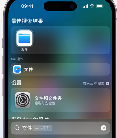 阳东apple维修中心分享iPhone文件应用中存储和找到下载文件 