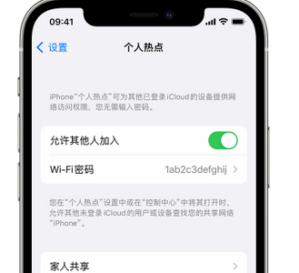 阳东apple服务站点分享iPhone上个人热点丢失了怎么办