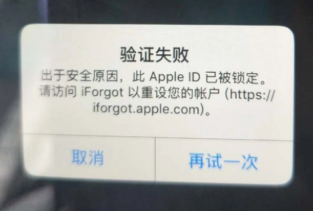 阳东iPhone维修分享iPhone上正常登录或使用AppleID怎么办 