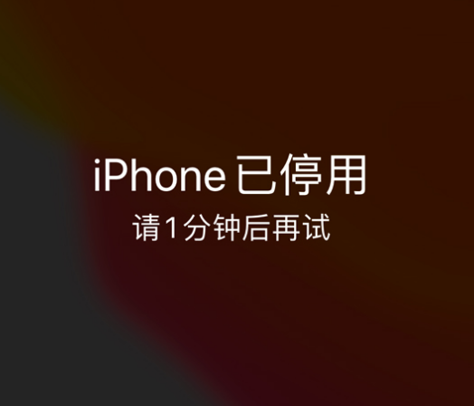 阳东苹果手机维修分享:iPhone 显示“不可用”或“已停用”怎么办？还能保留数据吗？ 