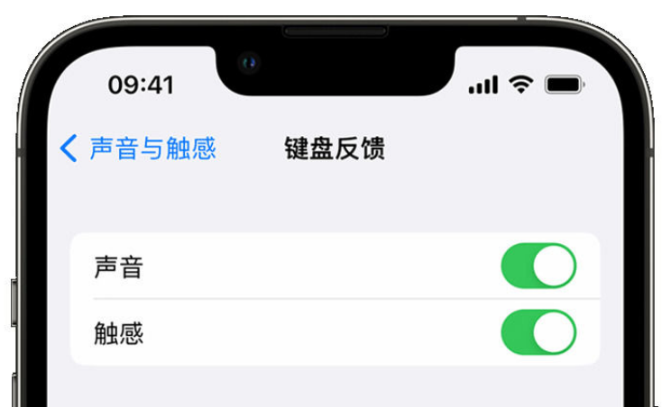 阳东苹果手机维修分享iPhone 14触感键盘使用方法 