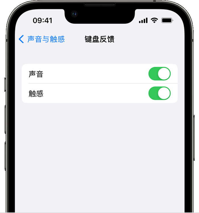 阳东苹果14维修店分享如何在 iPhone 14 机型中使用触感键盘 