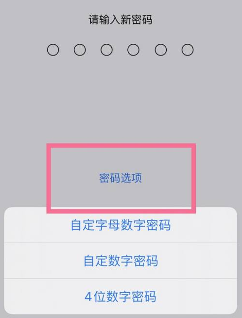 阳东苹果14维修分享iPhone 14plus设置密码的方法 