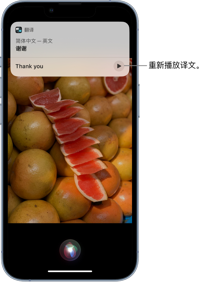 阳东苹果14维修分享 iPhone 14 机型中使用 Siri：了解 Siri 能帮你做什么 