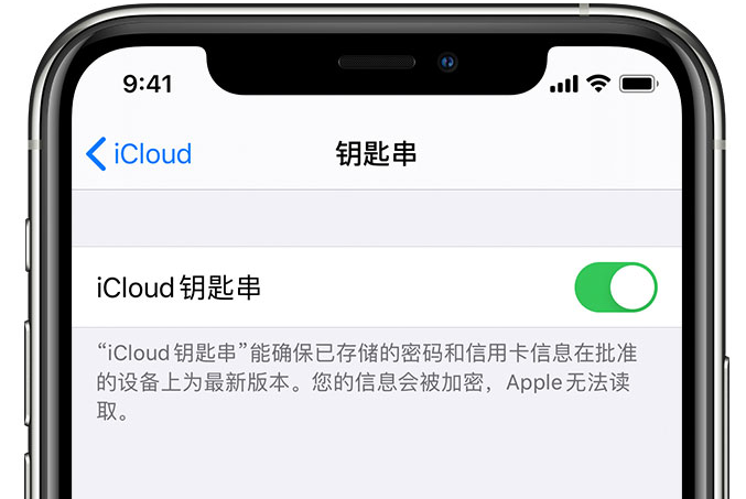 阳东苹果手机维修分享在 iPhone 上开启 iCloud 钥匙串之后会储存哪些信息 