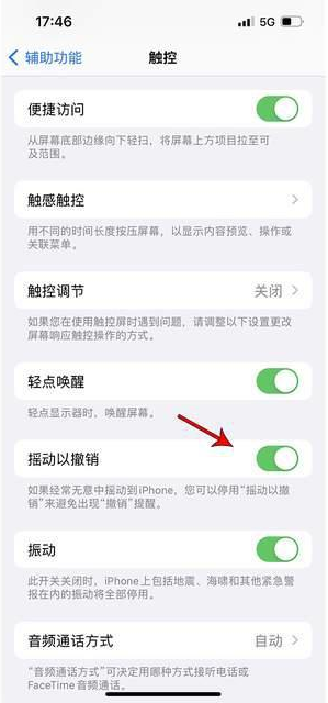 阳东苹果手机维修分享iPhone手机如何设置摇一摇删除文字 