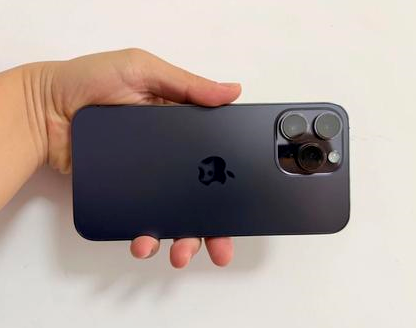 阳东苹果维修点分享iPhone 14 Pro Max发烫多重诱因剖析 